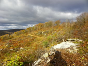 picture taken during a hike