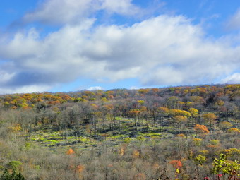 picture taken during a hike