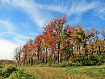 picture taken during a hike