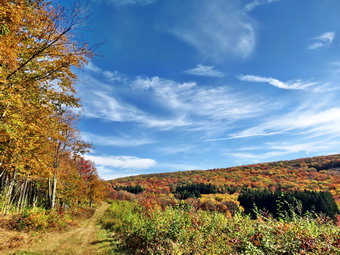 picture taken during a hike