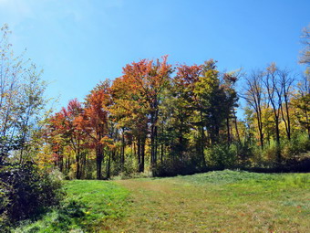 picture taken during a hike