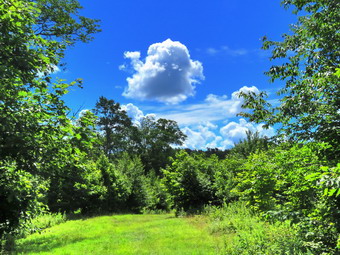 picture taken during a hike