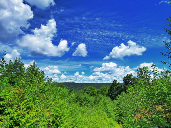 picture taken during a hike