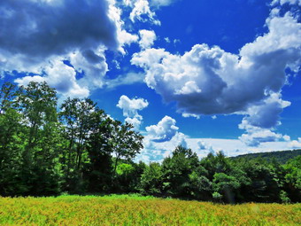 picture taken during a hike