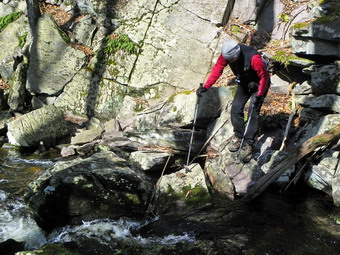 picture taken during a hike