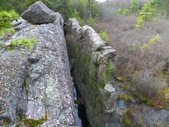 picture taken during a hike