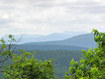 picture taken during a hike