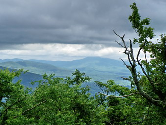 picture taken during a hike