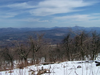 picture taken during a hike