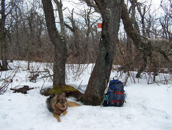 picture taken during a hike