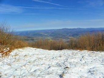 picture taken during a hike