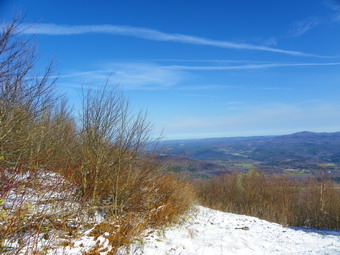 picture taken during a hike