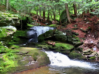 picture taken during a hike