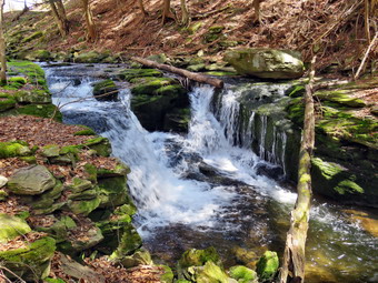 picture taken during a hike