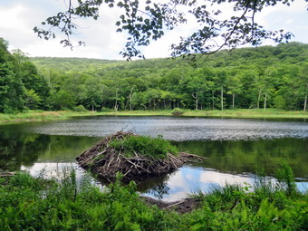 picture taken during a hike