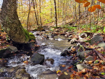 picture taken during a hike