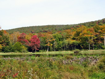 picture taken during a hike