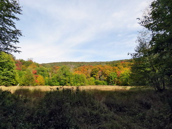 picture taken during a hike