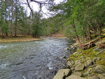 picture taken during a hike