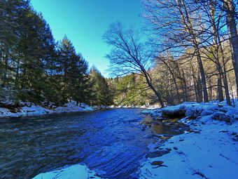 picture taken during a hike