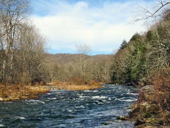 picture taken during a hike