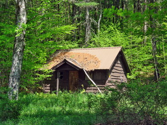 picture taken during a hike