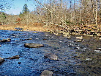 picture taken during a hike