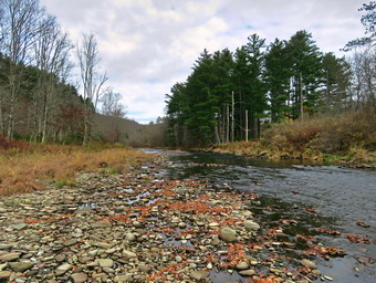 picture taken during a hike