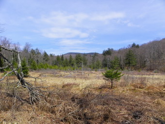 picture taken during a hike