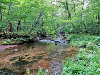 picture taken during a hike