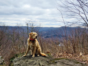 picture taken during a hike