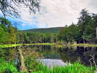 picture taken during a hike