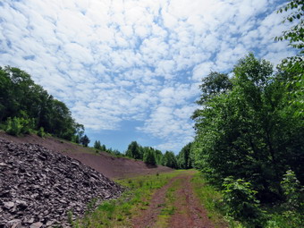 picture taken during a hike