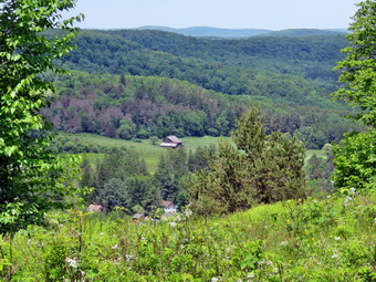 picture taken during a hike