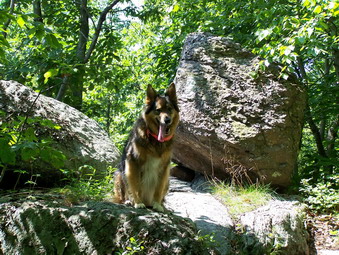 picture taken during a hike