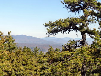 picture taken during a hike