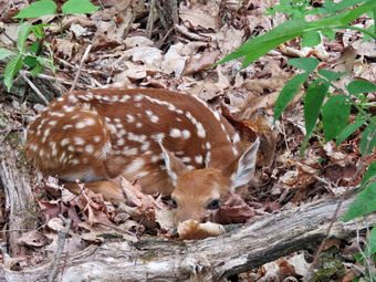 picture taken during a hike