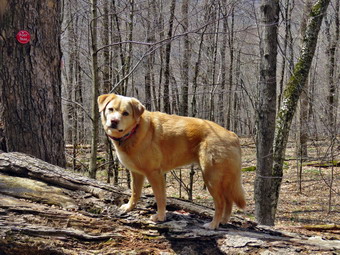 picture taken during a hike