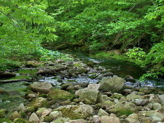 picture taken during a hike