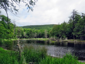 picture taken during a hike