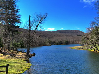 picture taken during a hike