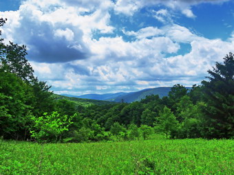 picture taken during a hike