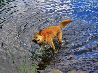 picture taken during a hike