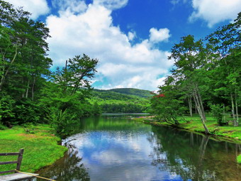 picture taken during a hike