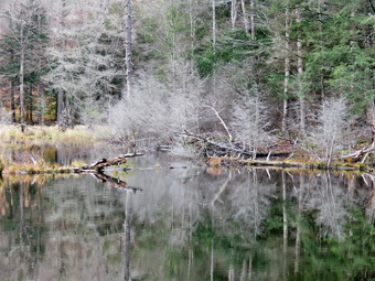 picture taken during a hike