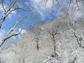 picture taken during a hike