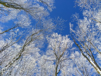 picture taken during a hike