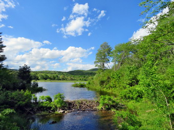 picture taken during a hike