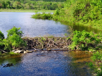 picture taken during a hike