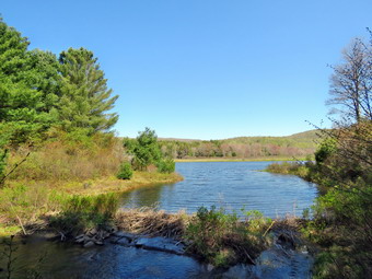 picture taken during a hike